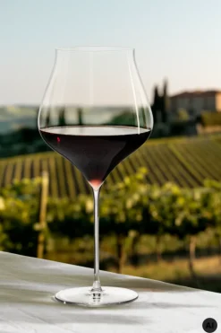 Bourgogneglas 94 cl 2 stk.