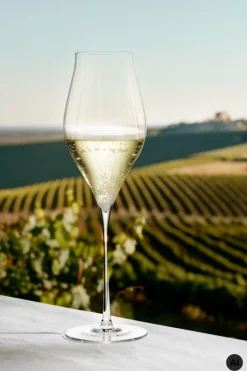Champagneglas 38 cl 2 stk.