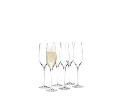 Champagneglas 29 cl 6 stk.