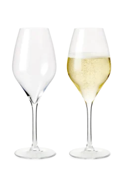 Champagneglas 37 cl 2 stk.