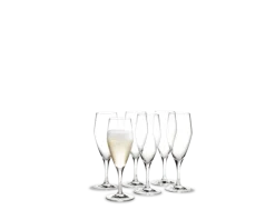 Champagneglas 23 cl 6 stk.