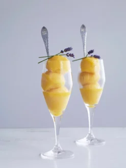 Champagneglas 23 cl 6 stk.