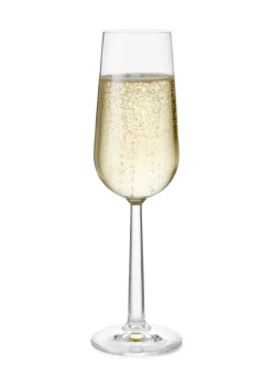 Champagneglas 24 cl 2 stk.
