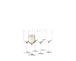 Champagneglas 29 cl 6 stk.
